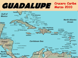 Guadalupe - Juan Cato