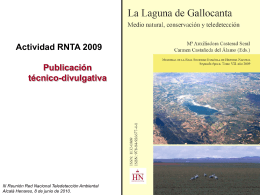 Publicación Gallocanta - Asociación Española de Teledetección