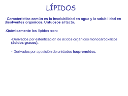 LÍPIDOS - HIBIO-GEO