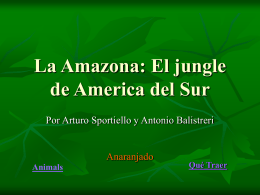 La Amazona: El jungle de America del Sur