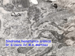 Sindrome hematúrico crónico