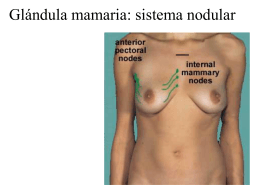 Glándula mamaria: sistema nodular
