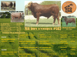 Diapositiva 1 - Ranchos Colorado y Don Enrique