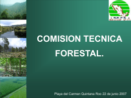 Comisión Técnica Forestal