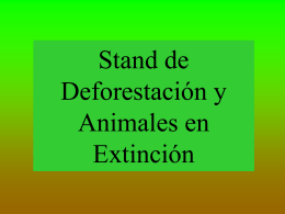 Stand De Deforestacion y Animales En Extincion