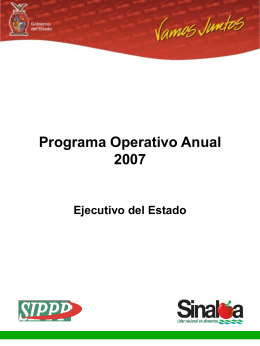 Programa Operativo Anual 2007 (POA)
