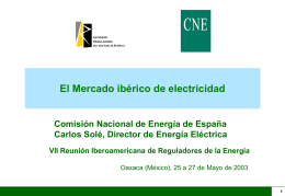 Modelo de Organización del Mercado Ibérico de Electricidad