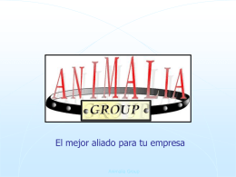 Ejemplo 9 - Animalia Group