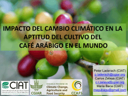 Impacto del cambio climático en la aptitud del cultivo del café