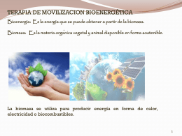 Movilización Bioenergética