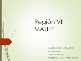 Maule - Colegio Laico Valdivia