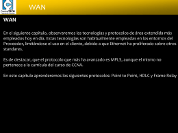 WAN - Cisco CCNA Exploration