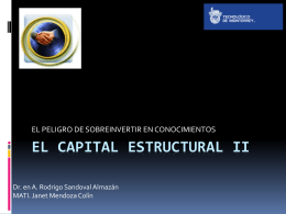 El capital estructural II