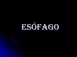 Esófago - ANATOMIADIGESTIVO