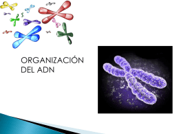 clase_3_organizacion_adn