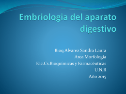 Embriologia del aparato digestivo
