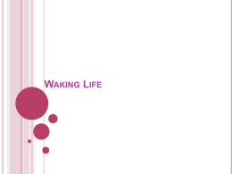 Waking Life