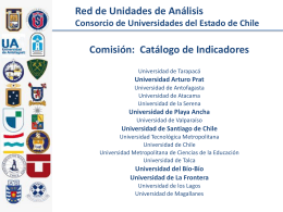 Reduai Indicadores version 2013 - Sistema de Gestión Institucional