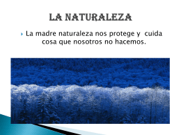 David Correa Tema-La naturaleza