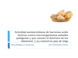 Actividad antimicrobiana de bacterias acido lácticas contra