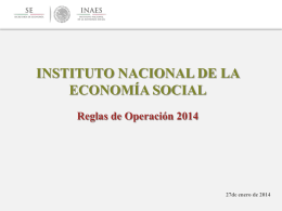 instituto nacional de la economía social