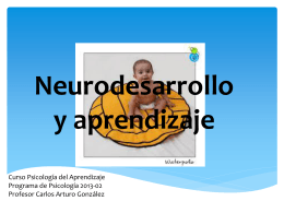 Neurodesarrollo y aprendizaje