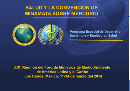 Minamata Convention and Health Mexico ESPANOL