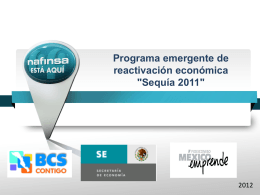 Programa de reactivación económica en el Estado de Tabasco