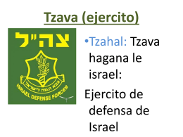 Tzava (ejército) - Hejalutz Lamerjav