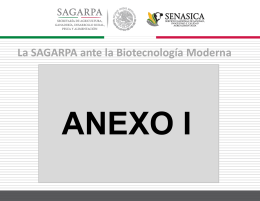 32197.177.59.1.Anexo 1 La SAGARPA ante la Biotecnologia