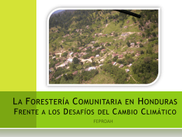 La Forestería Comunitaria en Honduras Frente a los