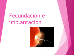 enf_51_fecundacion_e_implantacion