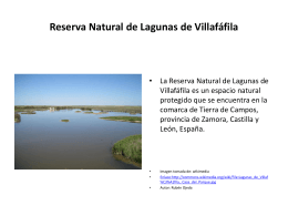 Lagunas de Villafáfila. Vegetación
