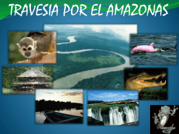 PROY. AMAZONAS - Mercadeo-UNITEC