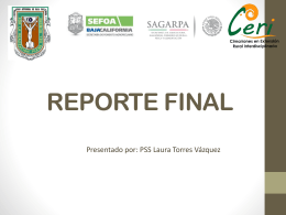 REPORTE FINAL