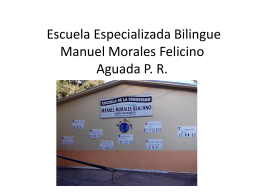 Escuela Especializada Bilingue Manuel Morales Felicino Aguada PR