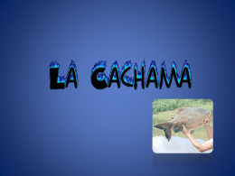 expo_cachama