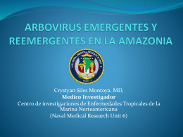 OTROS ARBOVIRUS NO DENGUE EN LA AMAZONIA PERUANA