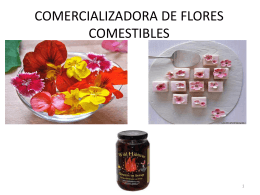 COMERCIALIZADORA_DE_FLORES_COMESTIBLES[1]