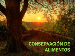 CONSERVACIÓN DE ALIMENTOS (6757062)