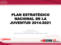 plan estratégico nacional de la juventud 2014-2021