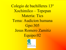 Colegio de bachilleres 13º Xochimilco * Tepepan Materia: Tics