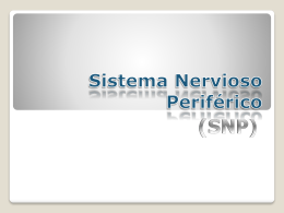 Sistema Nervioso Periférico (SNP)