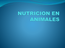 NUTRICION EN ANIMALES (1897576)