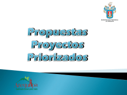 proyectos_priorizados