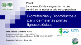 Biorrefinerías y Bioproductos a partir de materias primas