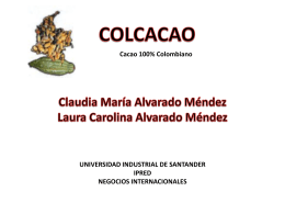Diapositivas Colcacao - Universidad Industrial de Santander