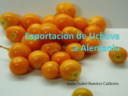 Exportación de Uchuva (1)