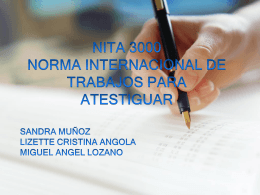 NITA 3000_Norma Internacional de trabajos para atestiguar