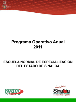 Programa Operativo Anual 2011 - Portal de Acceso a la Información